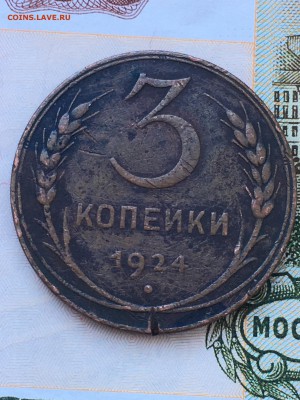 Бонус - IMG_0509