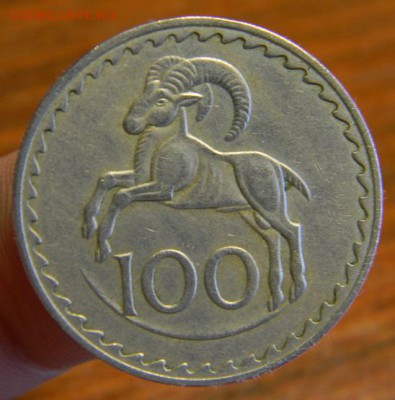 100 милс кипр 1960 - DSCN7993.JPG