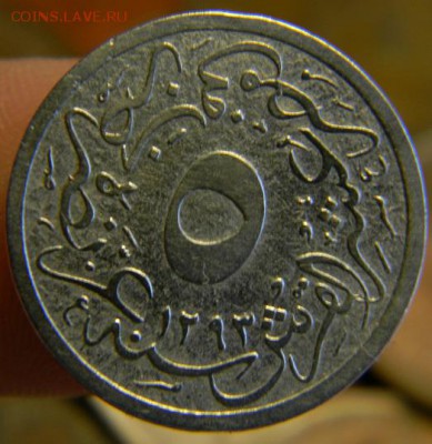 10 кирш египет - DSCN8052.JPG