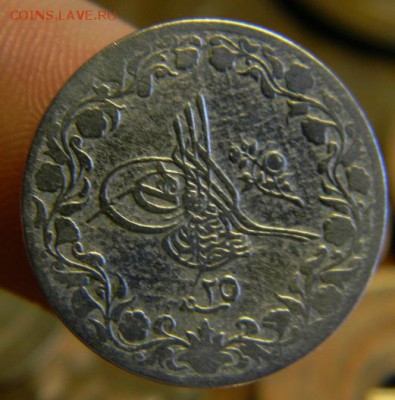 10 кирш египет - DSCN8053.JPG