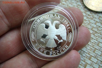 1 рубль 1994 Краснозобая казарка - 14-11-18 -23-10 мск - P1980870.JPG