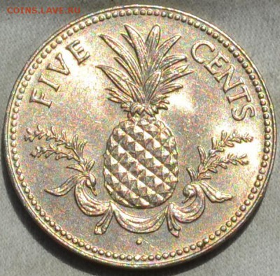 Багамы 5 центов 1975. 15. 11. 2018. в 22 - 00. - DSC_0532