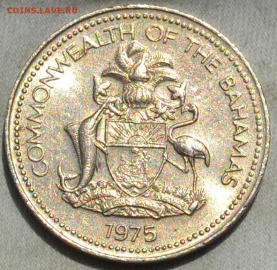 Багамы 5 центов 1975. 15. 11. 2018. в 22 - 00. - DSC_0533