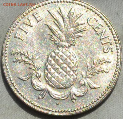 Багамы 5 центов 1981. 15. 11. 2018. в 22  -  00. - DSC_0534