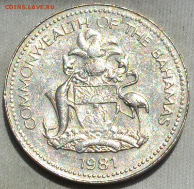 Багамы 5 центов 1981. 15. 11. 2018. в 22  -  00. - DSC_0535