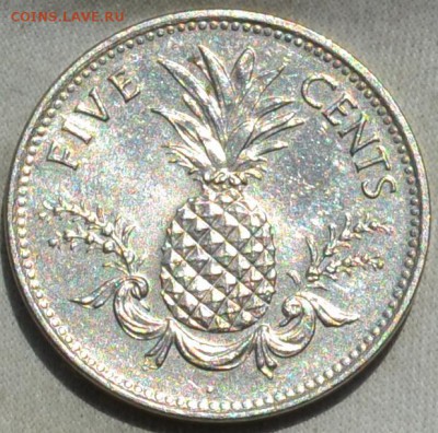 Багамы 5 центов 1998. 15. 11. 2018. в 22 часа 00. - DSC_0536