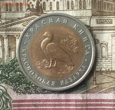10 рублей 1992г. Красная книга. Казарка до 18.11.18 - IMG_9025.JPG