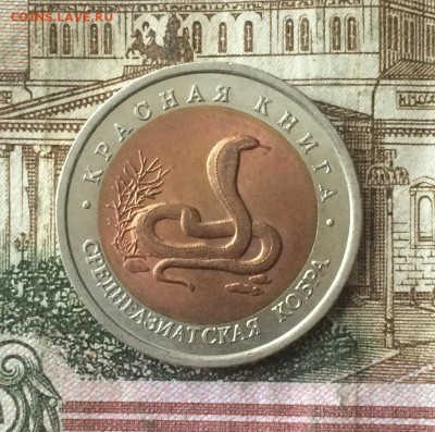 10 рублей 1992г. Красная книга. Кобра до 18.11.18 - IMG_9108.JPG