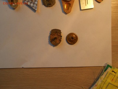 Знаки, значки, медальки на оценку - DSCN1329.JPG