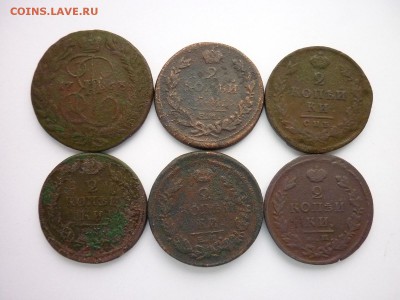 ДВУХКОПЕЕЧНИКИ Р.И. - 6штук, до 17.11.18г., 21.00 - P1010496.JPG
