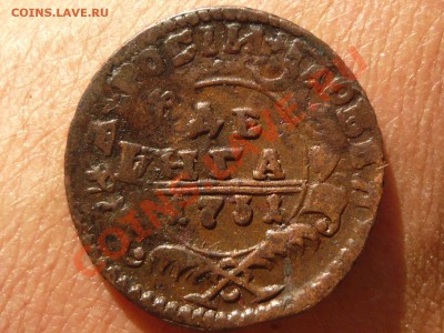 Денга 1731 г. 3 штуки на оценку. - P1040976.JPG