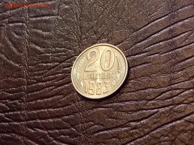 20 копеек 1983 шт. от 3 копеек до 18.11.18 до 22-00 мск - DSCN5319.JPG