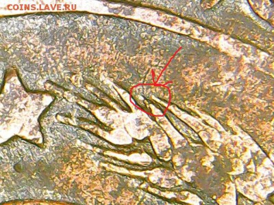 5 ость длинная - image (4)