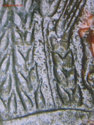 10коп.1991год (Л)-брак? - IMG_0272.JPG
