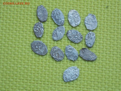 Петр1   13 чешуек - DSCN2889.JPG