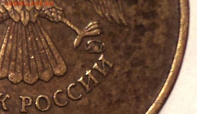 РАЗНОВИДНОСТИ  от  СЛФ - DSC01509.JPG