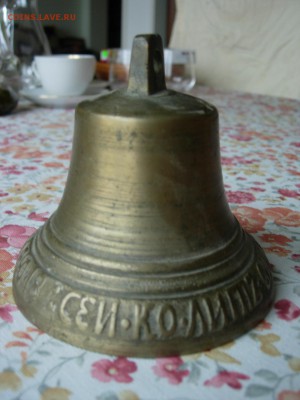 Колокольчик валдай - DSCN1935.JPG