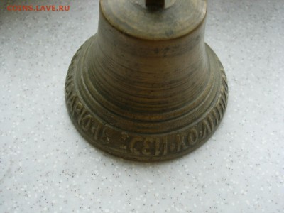 Колокольчик валдай - DSCN1944.JPG