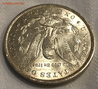 Доллар, 1884 год - 63A1C1B0-F87D-4974-BA15-E5F4BF2E472C