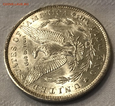 Доллар, 1884 год - B4B4C725-041B-4E51-BCCF-C5B586D6A0BB