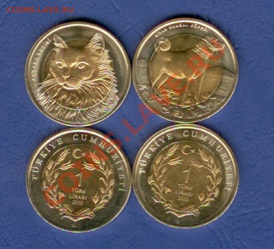 Турция лиры 2010 Котопёс до 27.05 в 21-00 - Турция 2010