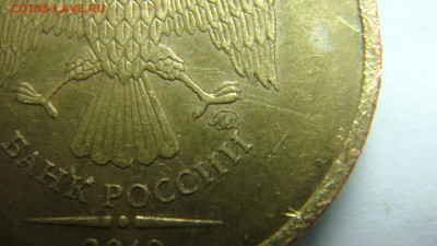 Вопросы по разновиднстям от сахарок - DSC07370.JPG