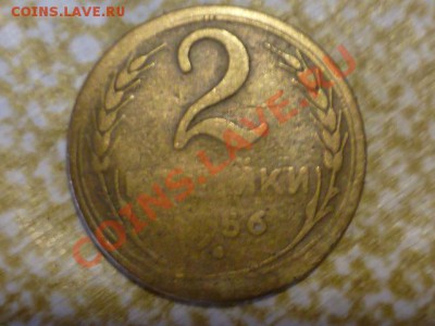 2 копейки 1956г - P1030048.JPG