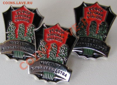 Копии значка " РСФСР Курская область Мастеру коноплеводства" - IMG_2544.JPG