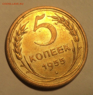 5 копеек 1955 года.Красивая. до 19.11.18 в 22.00 по Мск. - DSC07383.JPG
