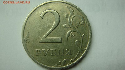 Вопросы по разновиднстям от сахарок - DSC07373.JPG