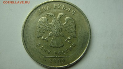 Вопросы по разновиднстям от сахарок - DSC07372.JPG