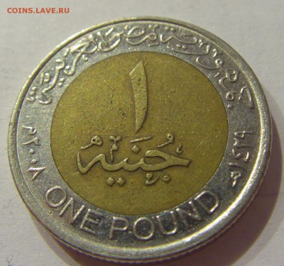 1 фунт 2008 Египет №1 24.11.2018 22:00 МСК - CIMG9401.JPG