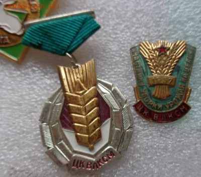 Знак ЦК "Золотой колос"+участник 1957 2  шт  до 22.1 - DSC03842.JPG