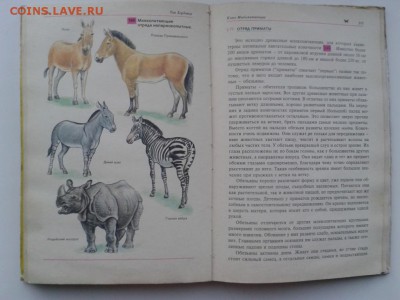 Учебник "Биология животных" для 7-8 классов до 23.11. в 22-0 - WP_000104