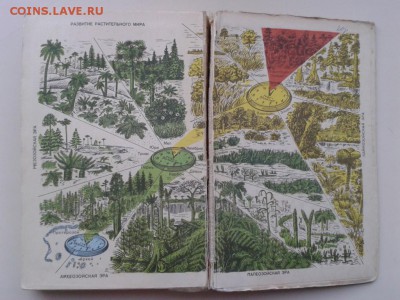 Учебник "Общая биология" для 10-11 кл. до 23.11 в 22-00 - WP_000100