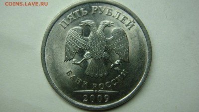 Вопросы по разновиднстям от сахарок - DSC07384.JPG
