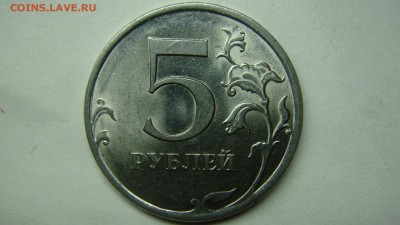Вопросы по разновиднстям от сахарок - DSC07383.JPG