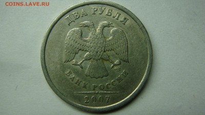 Вопросы по разновиднстям от сахарок - DSC07382.JPG