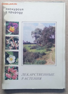 Набор открыток"Лекарственные растения"25 шт.1977 г.до 23.11. - IMG_20181119_155906