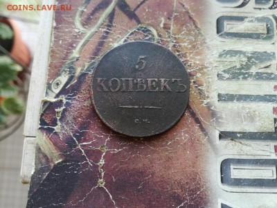 5 копеек 1831 СМ до 22.11.2018 - 1831 (12) - копия