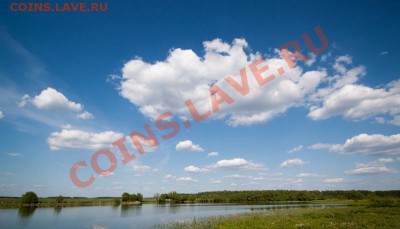 ФОТО - просто фото. Те что получились удачными. - IMG_6465