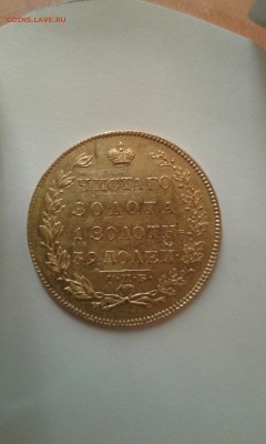 нет шишек под верхними листами лаврушки (слева) - 5 руб 1830а