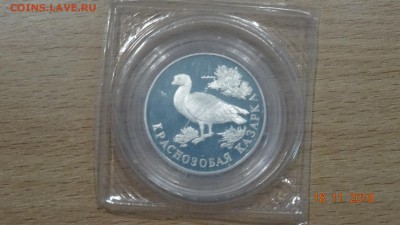 1 рубля 1994 Краснозобая казарка до 23.11 - DSC02897.JPG