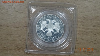 1 рубля 1994 Краснозобая казарка до 23.11 - DSC02898.JPG
