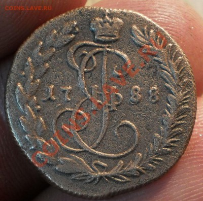 деньга 1788км.до29.05.11.в22-00мск. - P5231308.JPG