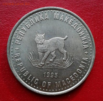 Македония 5 денар 1995г FAO (Рысь) до 27.11.18 - 2018-11-18 15.42.30