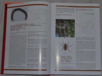 Красная книга Алтайского края в 2х томах 1000 экз 25.11.18 - DSC_5228.JPG