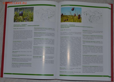 Красная книга Алтайского края в 2х томах 1000 экз 25.11.18 - DSC_5231.JPG