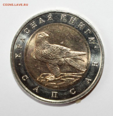 Кр.Книга 1994г Сапсан с 200р до 24.11 - сапсан1.JPG