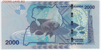 УГАНДА - 2000 шиллингов 2010 г. пресс до 28.11 в 22.00 - IMG_20181122_0002